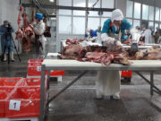 Тогооч нар “Мах шулах, ангилах ур чадвар”-аар өрсөлдөнө mah-shulah-temtseen