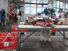 Тогооч нар “Мах шулах, ангилах ур чадвар”-аар өрсөлдөнө mah-shulah-temtseen