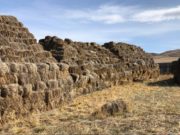 300 тонн өвс, 120 тонн тэжээл хямдралтай үнээр олгоно ows