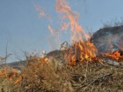 СЭРЭМЖИЛ: Өнжмөл өвсний түймрээс сэрэмжлүүлж байна tuimer