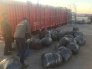 1350 кг нэн ховор дэрэвгэр жиргэрүүг хил давуулахаар завджээ! derewger-jirgeruu-hil-dawuulah-2019