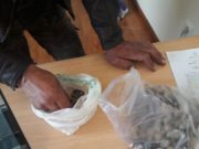 ХЭНТИЙ: Газар ухаж чулуу түүсэн иргэдэд хариуцлага тооцлоо gazar-uhaj-chuluu-tuuw-hentii