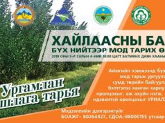 Хайлаасны баяр хийж, бүх нийтээр мод тарина hailaasnii-bayr