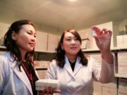 Улсын хэмжээнд хатгалгааны эсрэг 13 цэнт вакциныг нэвтрүүллээ hatgalgaanii-esreg-vactsin