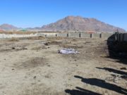 Малын гэдэс, сэвсийг ил задгай хаяж 100 гаруй тонн хаягдал үүсгэсэн байсныг цэвэрлүүлэв! hog-haygdal