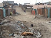 Аюулын харанга дэлдсэн хөрсний бохирдол! horsnii-bohirdol