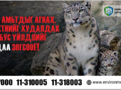 Нэн ховор амьтан, ургамлын гаралтай бүтээгдэхүүн худалдахгүй байхыг анхааруулав! huuli-bus-an