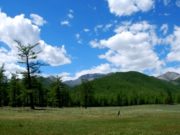 АНХААР: Нийслэлийн ногоон бүсэд амралт, аялал зугаалга зохион байгуулахыг хориглов! nogoon-bus