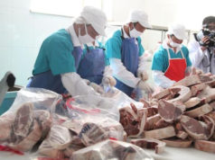 4000 тонн нөөцийн махыг, 100 орчим цэгээр борлуулна nootsiin-mah