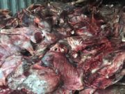 Муудсан мах хадгалж байсан Хятад иргэдийг 461 дүгээр ангид саатуулжээ Muudsan mah