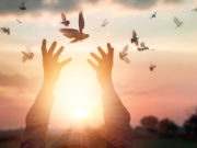 Цаг агаарын +13 хэмд, аз жаргалын даавар өсдөг aj-jargaliin-tuhai