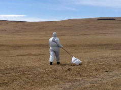 Зоонозын төвөөс хачигт халдварын тандалт, судалгаа хийж байна hachigt-haldwar