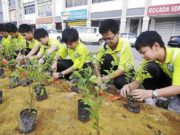ФИЛИППИН: Ахлах ангийн сурагчид “МОД” тарьж байж, сургуулиа төгсөнө mod-tarih