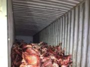 АНХААР: Хятад иргэд их хэмжээний муудсан мах худалдаалж байжээ! muudsan-mah