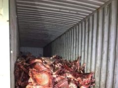 АНХААР: Хятад иргэд их хэмжээний муудсан мах худалдаалж байжээ! muudsan-mah