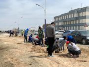 ХАЙЛААСНЫ БАЯР: Өмнөговьчууд 88000 суулгац тариаллаа omnogobi-mod-tarilaa