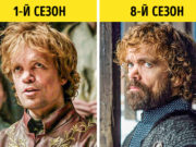 ФОТО: “Game of thrones”-ийн баатрууд хэрхэн өөрчлөгдсөнийг харна уу togloomiin-baatruud-herhen-oorchlogdow-2019-03
