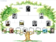 Угийн бичиг хөтлөх аргазүйн сургалтад хамрагдаж байна ugiin-bichig