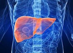 Элэгний В вирусын халдвараас сэргийлэх ВАКЦИН хийгдэж байна! elegnii-virus