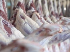 Хонины мах 7-8 мянган төгрөгийн ханштай байна honinii-mah