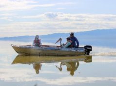 Монгол гэрт хагас жил амьдарсан ХОТОН шувууг тавьлаа hoton-shuwuu-01