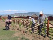 Зорилтот бүлгийн 400 гаруй иргэнээ нийтийг хамарсан ажилд хамруулна oworhangai-irged