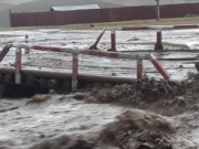 Үер, усны аюулаас урьдчилан сэргийлнэ үү! uyr