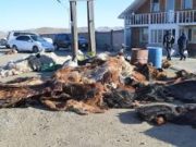 Эмээлт зах дээрхи түүхий эдийн ХАНШ emeelt-zah