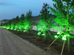 4500 орчим модыг ногоон лед гэрлээр чимэглэн, гэрэлт гудамж үүсгэжээ gerlen-chimeglel-gudamj