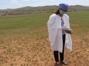 МХГ-аас цэнгэлдэх хүрээлэн, морь барианы газруудаас хөрсний шинжилгээ авчээ horsnii-deej