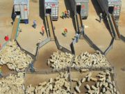 У.Хүрэлсүх малыг амьдаар нь экспортод гаргахгүй байхыг үүрэгдэв! mal-hudaldaalah