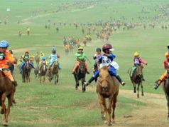 П.Хорлоо: 942 хүүхэд мориноос унаж, 22 хүүхэд хүнд гэмтэл авч байсан