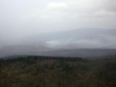 Ой хээрийн түймэрт 16351.5 га талбай өртжээ! huiraasgilt