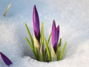 Ханш нээх өдрийн утга учир