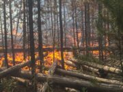 Зургаан сумдад, 7 удаагийн ХЭЭРИЙН ТҮЙМЭР бүртгэгдэв oi-heeriin-tuimer