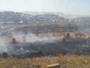 Айл өрхүүд хашааны өнжмөл өвсийг шатааж, гал алдвал ТОРГУУЛНА! shar-ows-shataah