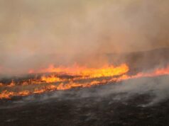 ХЭНТИЙ. Норовлин сумд гарсан түймрийг унтраав tuimer-oi