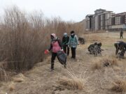 Туул голын эрэг дагуух хогийг цэвэрлэв tuul-gol-hog-tsewerlew