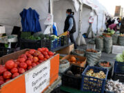 “Намрын ногоон өдрүүд” арваннэгдүгээр сарын 1-нийг хүртэл үргэлжилнэ