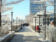 Бодис, давсны нөөц хангалттай байна