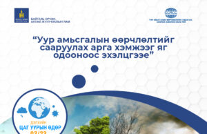 Дэлхийн дундаж хэм 0.86 хэмээр нэмэгдсэн байна